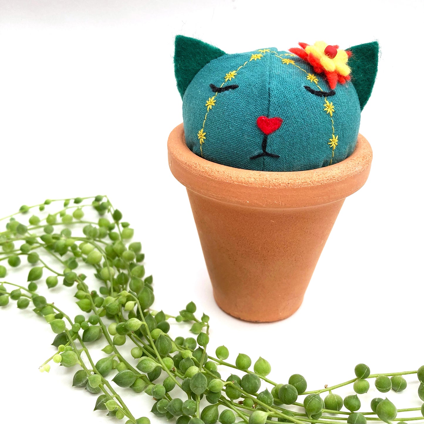 Gato Cactus