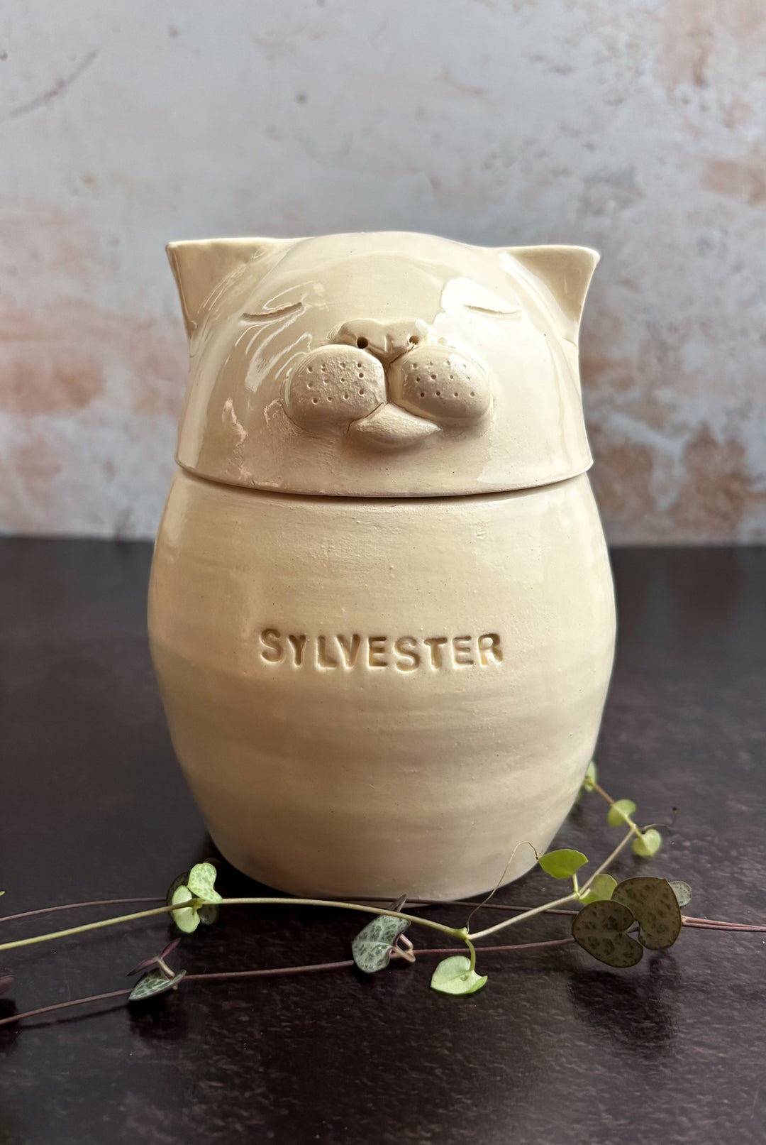 Urnas de cerámica para gato